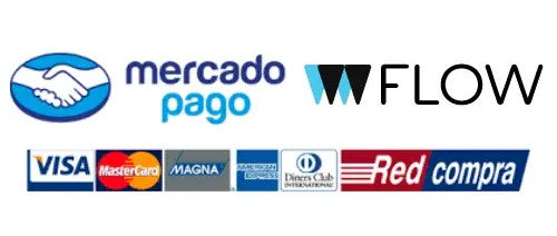 Pagos 100% Seguros