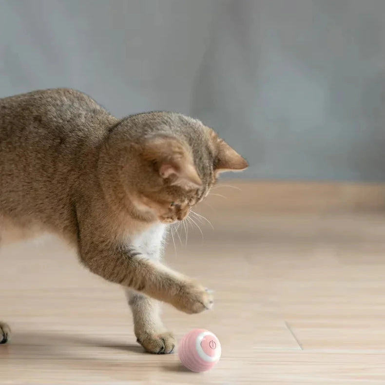 Pelota interactiva